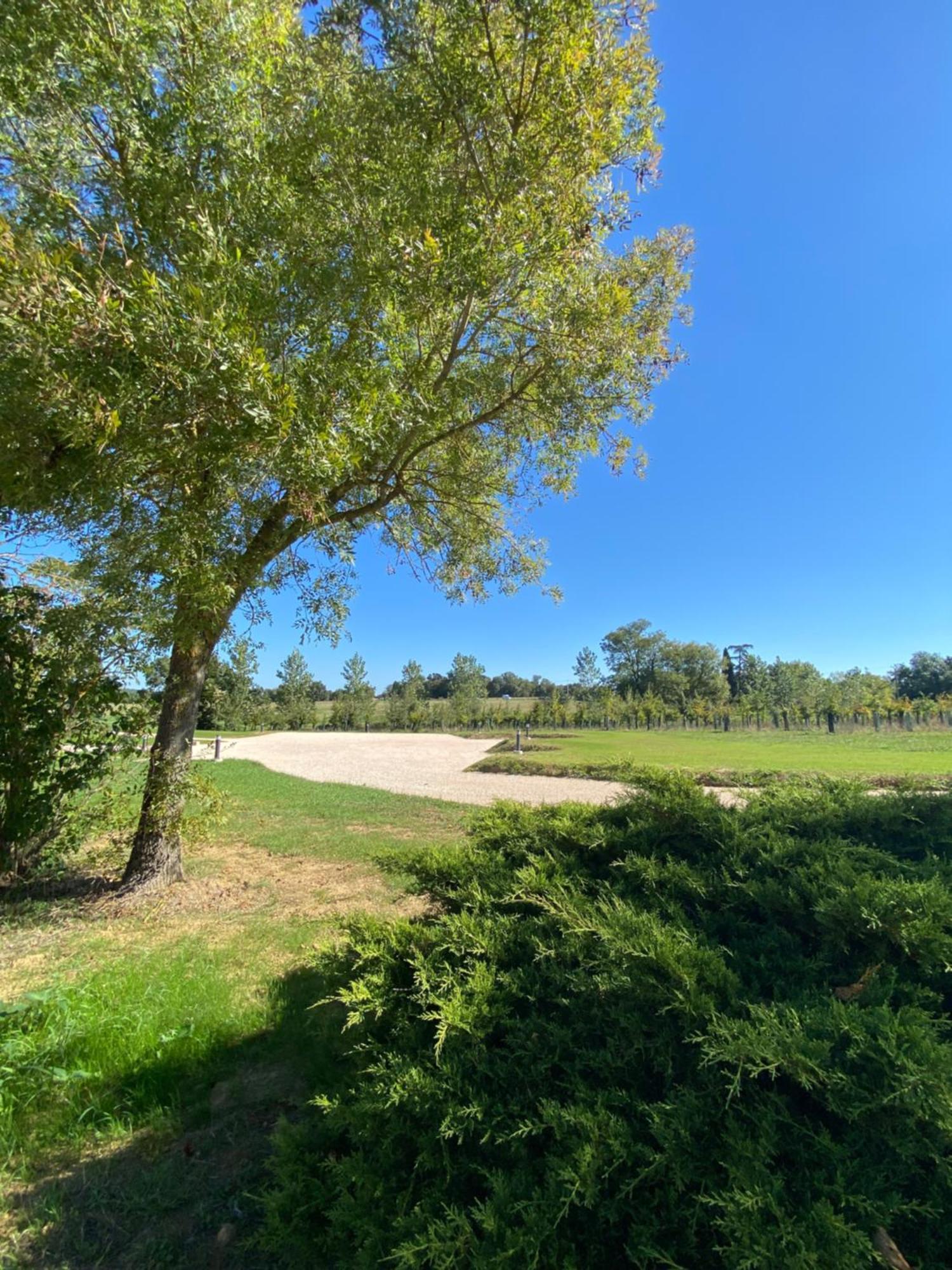 Gite Clara - Domaine Du Catalan Aubiet Exterior foto